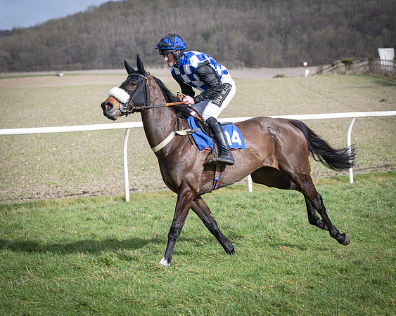 Race 3 - The Maiden Conditions (58 of 214)