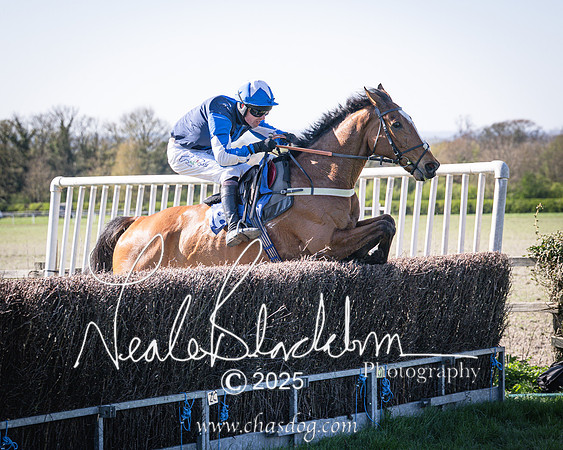 Race 6 - Veteran horse (85 of 109)