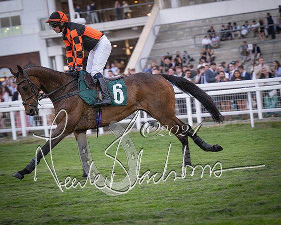 Race - 7 The Royal Gloucester Hussars Open Hunter's steeplechase 2m4f 127y (47 of 210)