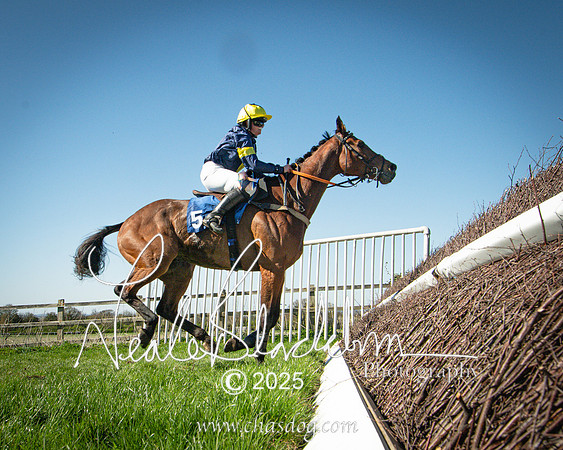 Race 5 - The restricted (98 of 113)