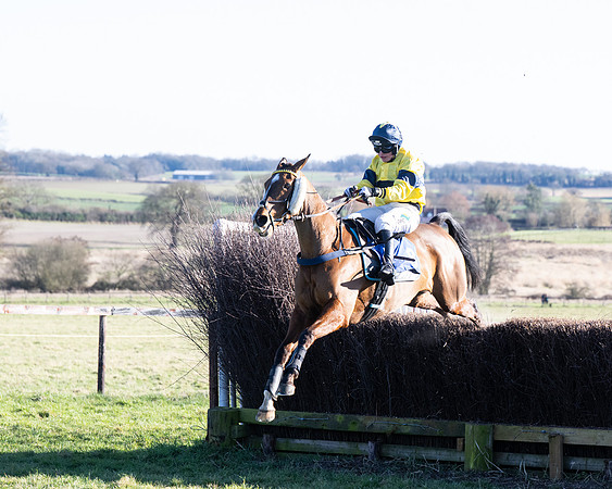 Race 5 - Maiden (100 of 123)