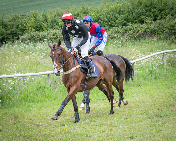 Race 2 - The Restricted race (10 of 84)