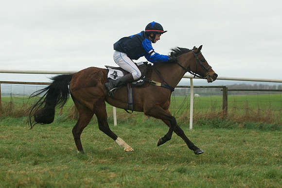 Race 7 - Pony Race 1 -  3