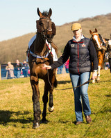 Race 1 Div 2 - 2M4F Maiden (13 of 113).jpg