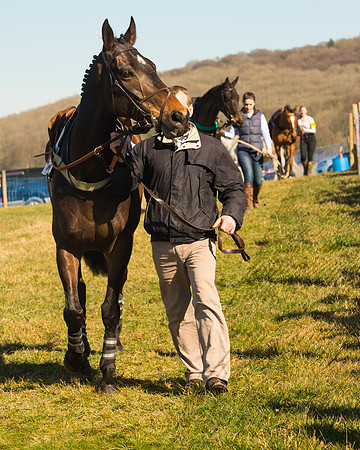 Race 1 Div 2 - 2M4F Maiden (24 of 113).jpg