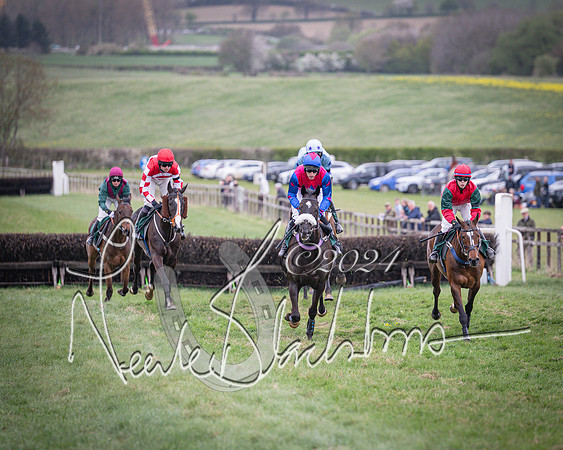 Race 6 - The Restricted Race (52 of 101)