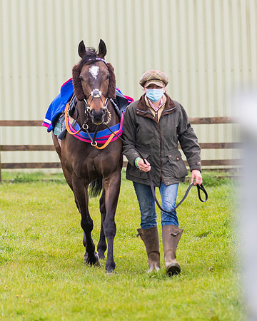 DSC_0513