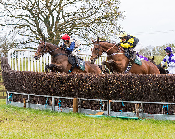 DSC_0863