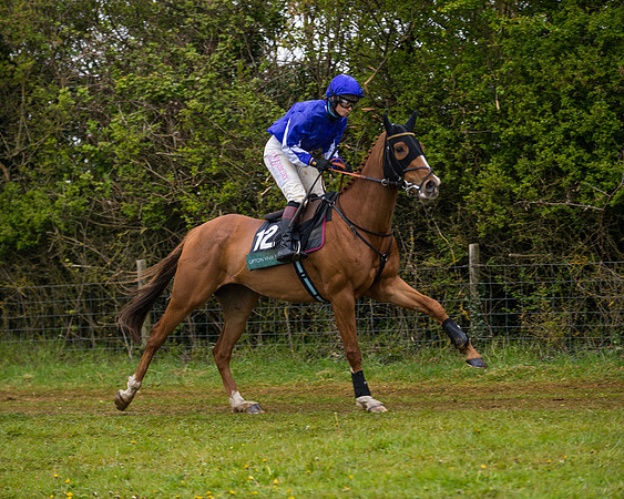 DSC_1603