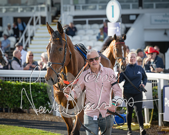 Race 4 - Peretemps Stratford Foxhunters (17 of 168)