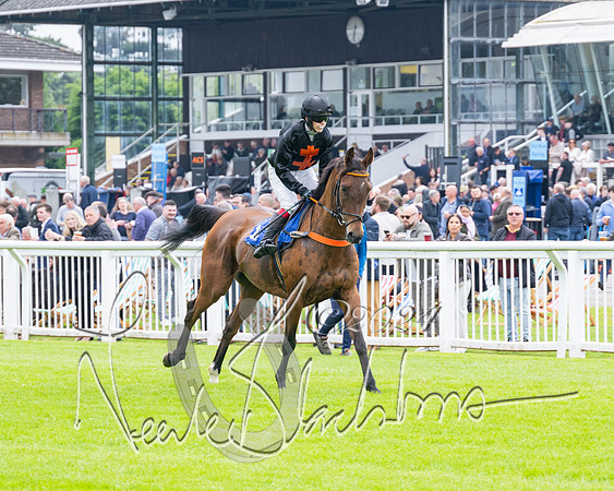 Race 2 - Ladies Open Final (18 of 94)