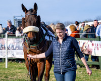 Race 5 - PPORA Five years and over (18 of 163)