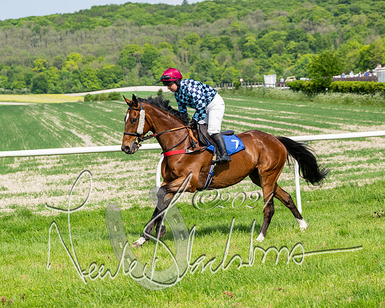 Race 3 - Ladies Open  (42 of 133)