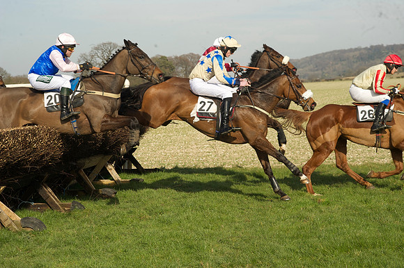 Race 2 Open Maiden Div 1 -  55