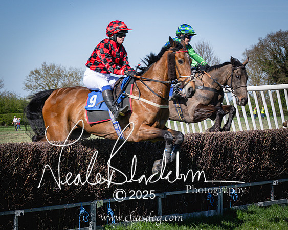 Race 5 - The restricted (56 of 113)-2
