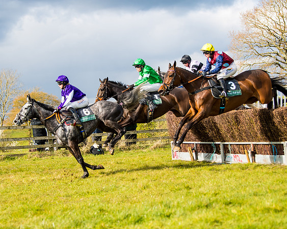 Race 5 - Restricted  (25 of 118)