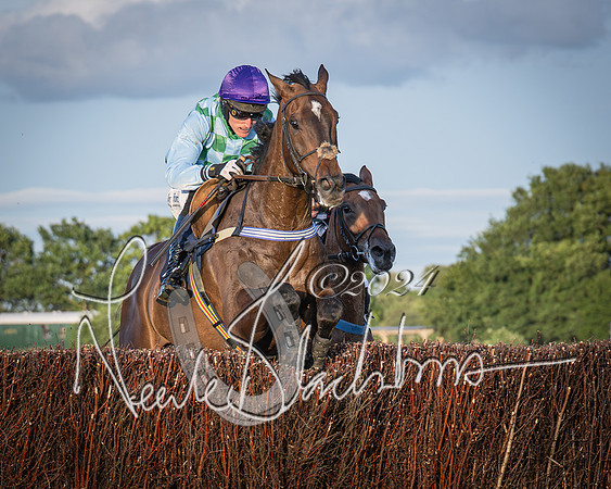 Race 5 - tipsterreviews.co.uk handicap (41 of 107)