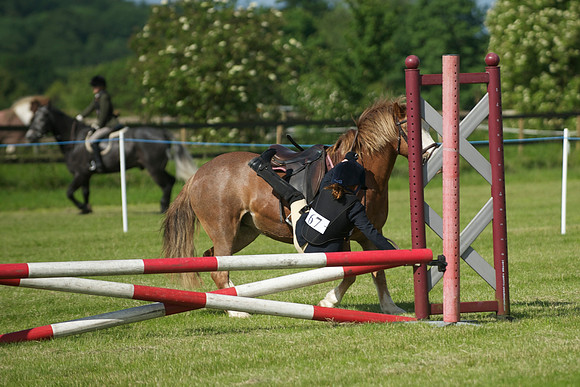 SOHS PC Summer Show at BCA 17th June 2012