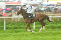 Old Berks at Lockinge PPORA novice and veteran riders race