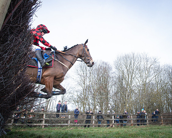Race 2 - Maiden (66 of 145)