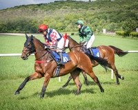 Race 4 - The Dickie Lim Mixed Open Race (20 of 101)