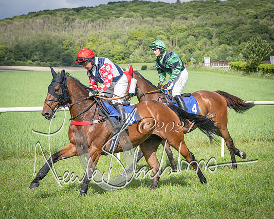 Race 4 - The Dickie Lim Mixed Open Race (20 of 101)