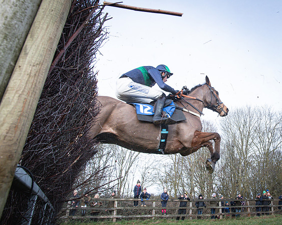 Race 2 - Maiden (63 of 145)