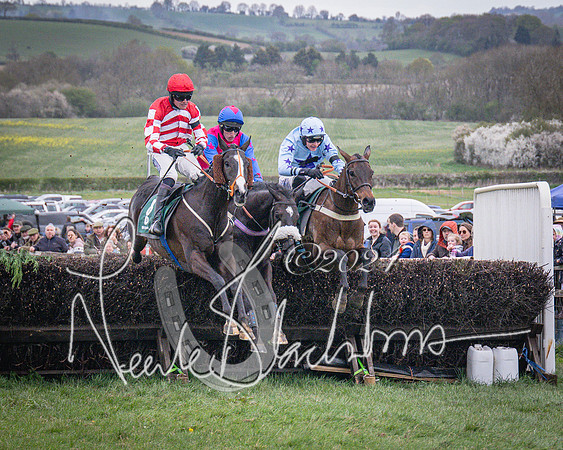 Race 6 - The Restricted Race (68 of 101)