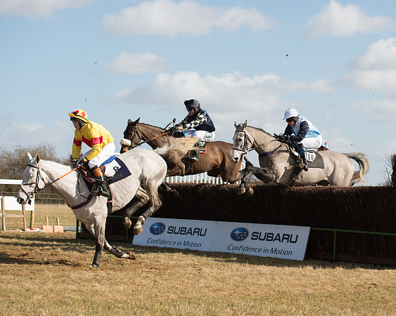 Race 1 - 4-5-6 Maiden (77 of 119).jpg