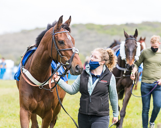 Race 1 - Maiden Div 1  (22 of 129)
