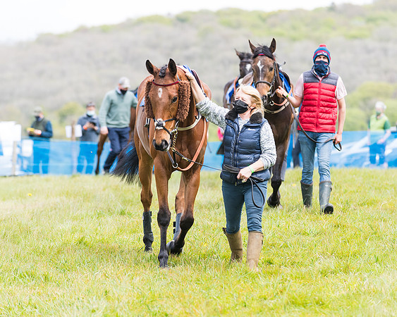 Race 1 - Maiden Div 1  (28 of 129)