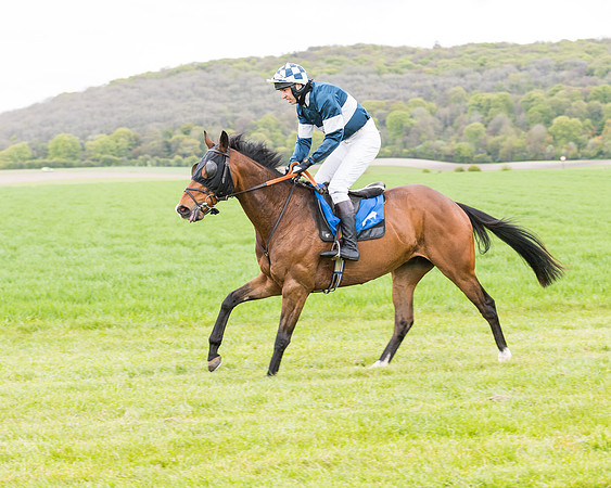 Race 1 - Maiden Div 1  (40 of 129)