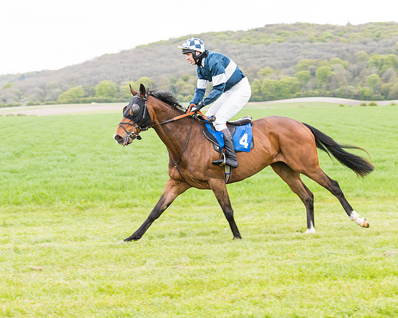 Race 1 - Maiden Div 1  (41 of 129)
