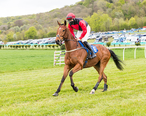 Race 1 - Maiden Div 1  (46 of 129)