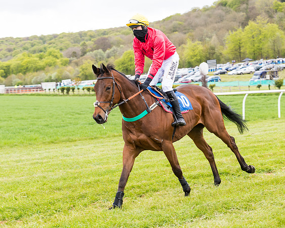 Race 1 - Maiden Div 1  (52 of 129)
