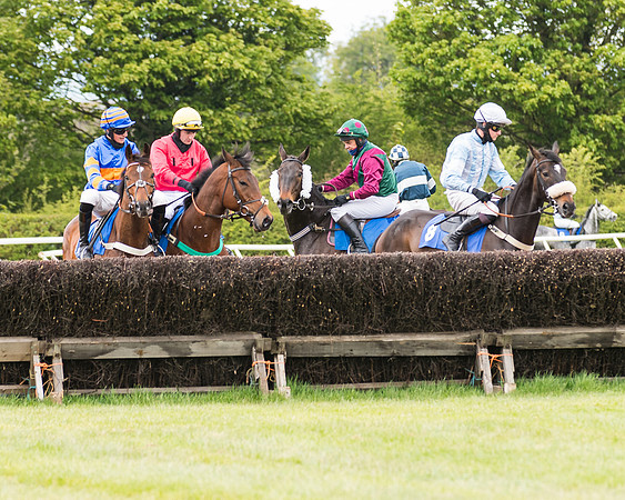 Race 1 - Maiden Div 1  (55 of 129)