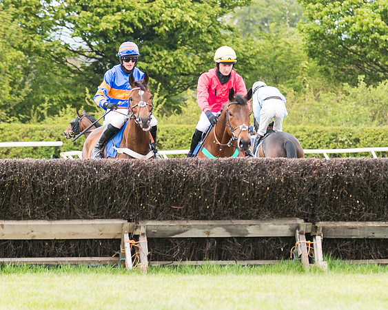Race 1 - Maiden Div 1  (57 of 129)