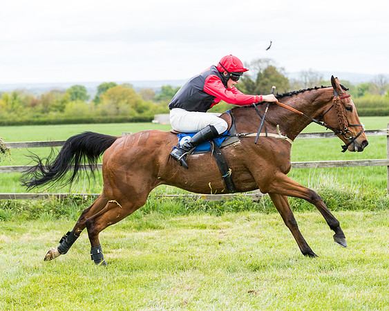 Race 1 - Maiden Div 1  (108 of 129)