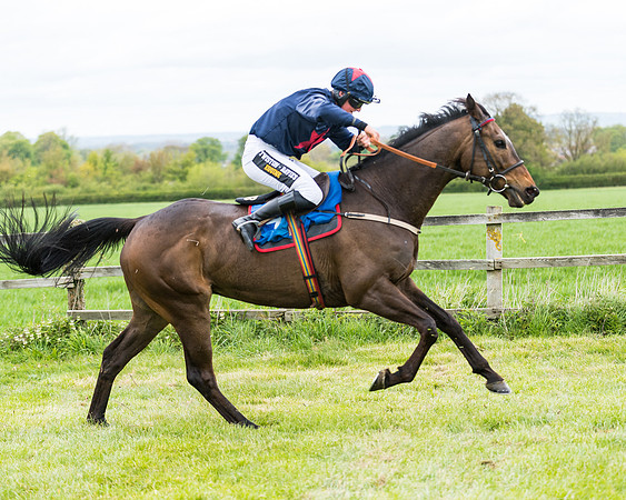Race 1 - Maiden Div 1  (109 of 129)