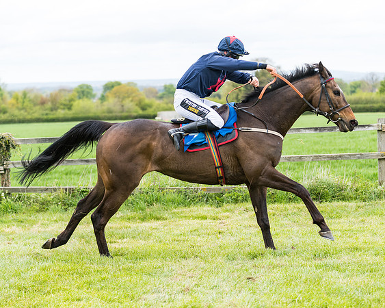 Race 1 - Maiden Div 1  (110 of 129)