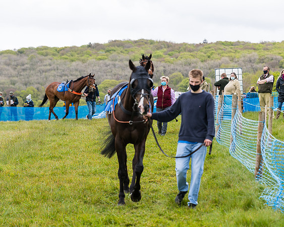 Race 2 - Maiden Div 2 (2 of 123)
