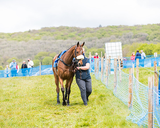 Race 3 - KBRC Conditions (6 of 239)
