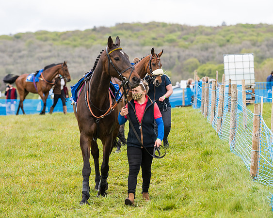 Race 3 - KBRC Conditions (14 of 239)