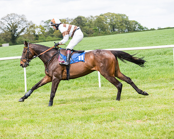 Race 3 - KBRC Conditions (36 of 239)