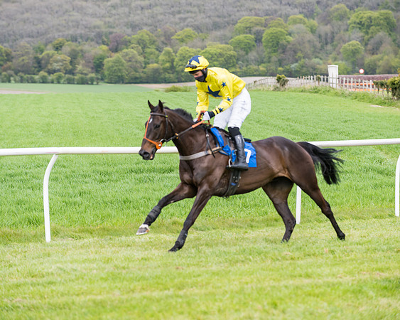 Race 3 - KBRC Conditions (45 of 239)
