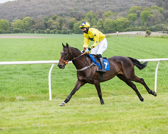 Race 3 - KBRC Conditions (46 of 239)