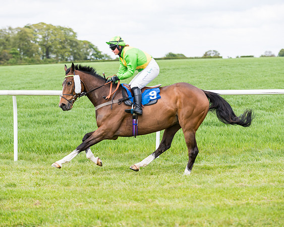 Race 3 - KBRC Conditions (54 of 239)