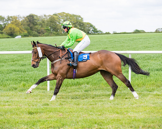 Race 3 - KBRC Conditions (55 of 239)