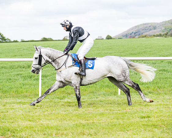 Race 3 - KBRC Conditions (68 of 239)