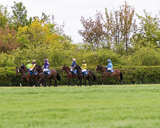 Race 3 - KBRC Conditions (76 of 239)